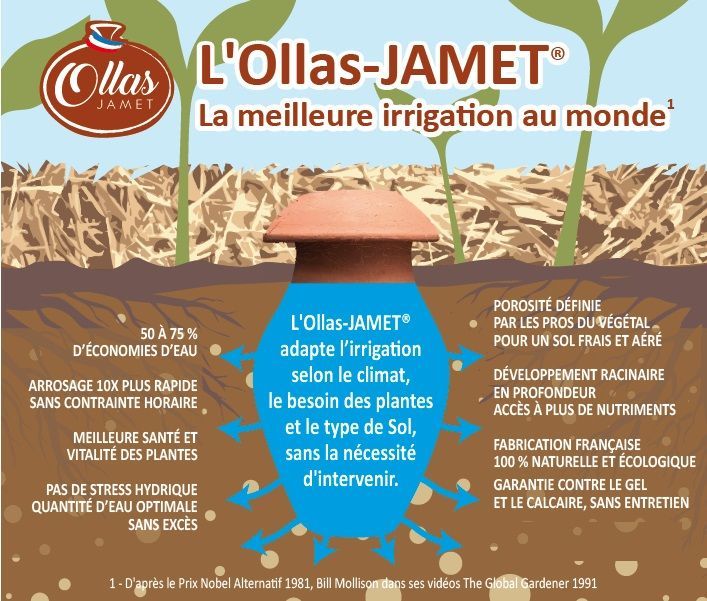 Olla d’irrigation en terre cuite / Poterie Jamet  - Leaderplant