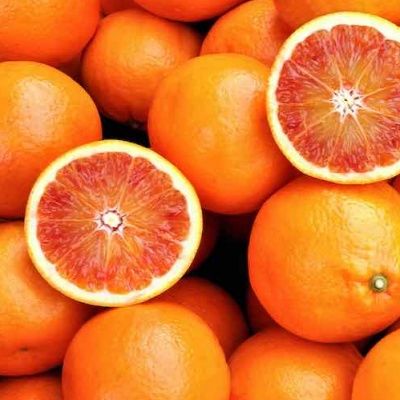 Orange Sanguine Vanille - Leaderplant