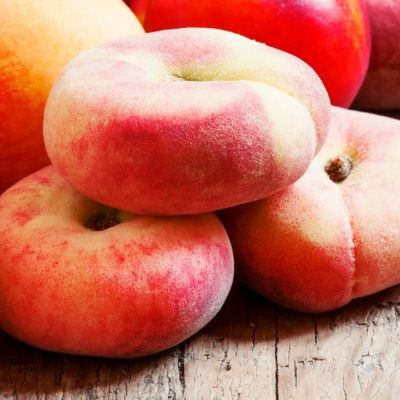 Pêcher nain Peach Me Donut Samantha Fruit Me ®  - Leaderplant