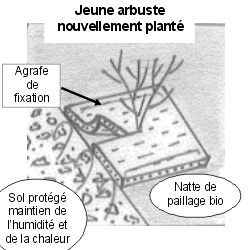 Natte de paillage bio-dégradable - Leaderplant