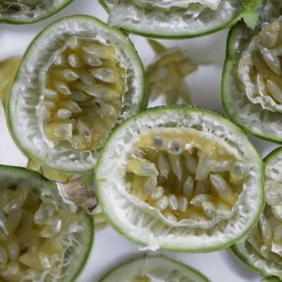 Passiflore Eia Popeia Cooltropics ®  - Leaderplant