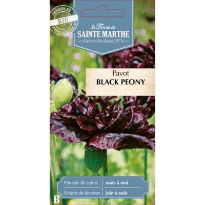 Graines de Pavot Black Peony (Ferme de Sainte Marthe) - Leaderplant