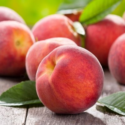 Pêcher nain Peach Me Pampana Fruit Me ® - Leaderplant