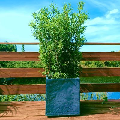 Kit Brise-vue Balcon Phillyrea - Bac Carre - Leaderplant