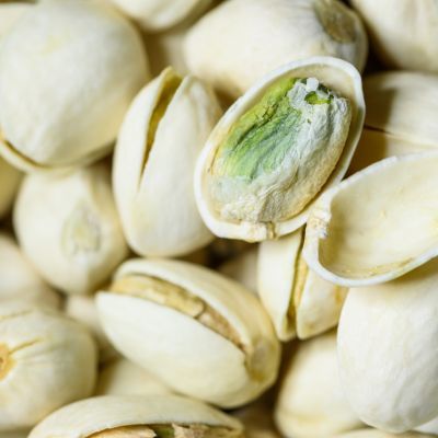 Pistachier femelle Vera Castle  - Leaderplant