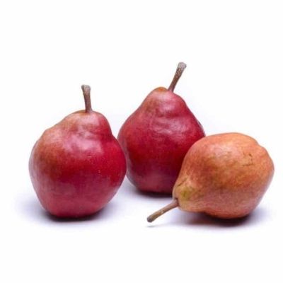 Poirier Williams Rouge   - Leaderplant