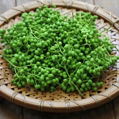 Poivrier du Japon - Poivrier citronné - Clavalier Sansho - Leaderplant