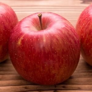 Pommier Fuji - Leaderplant