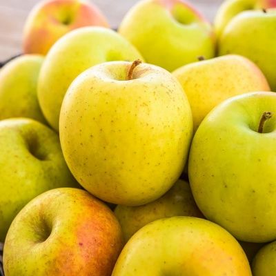 Pommier Goldrush - Leaderplant