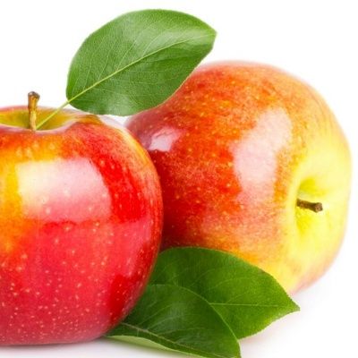 Pommier nain Mini Cox ® - Leaderplant