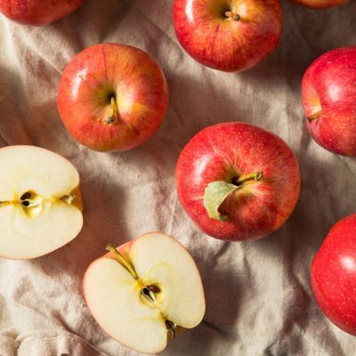 Pommier nain Apple Me Gala Fruit Me ® - Leaderplant