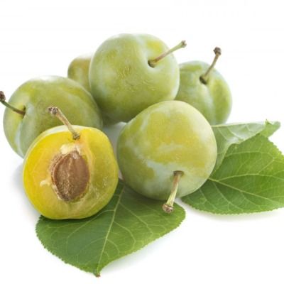 Prunier Reine Claude de Bavay - Leaderplant