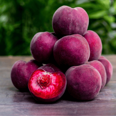 Pêcher sanguine 'HELLFEST' - Leaderplant