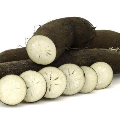 Graines de Radis Noir Gros Rond d'Hiver - Leaderplant