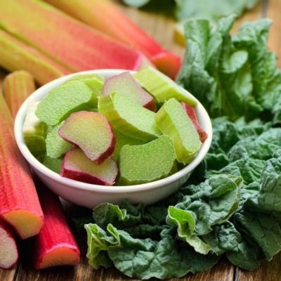 Rhubarbe géante Goliath - Leaderplant