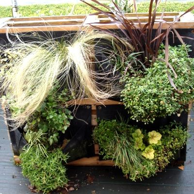 Pot ROOT POUCH POUR JARDIN VERTICAL - Leaderplant