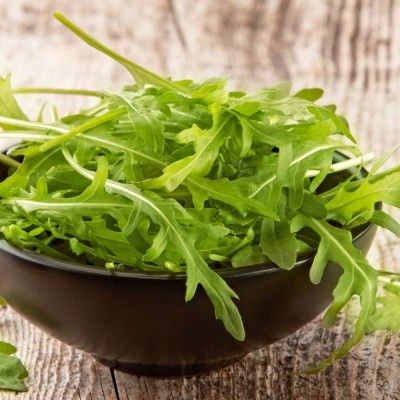 Roquette Sauvage - Leaderplant