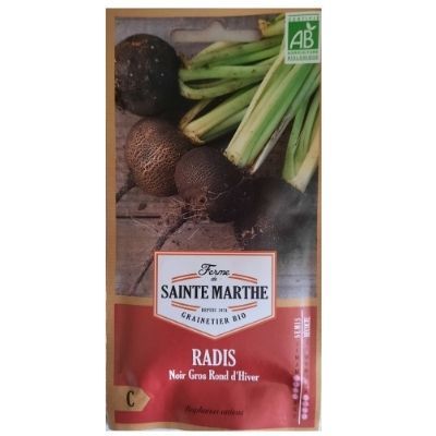 Graines de Radis Noir Gros Rond d'Hiver - Leaderplant