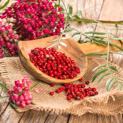 Faux Poivrier - Leaderplant