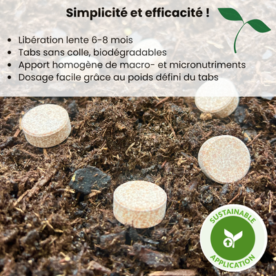 Engrais à libération lente - Leaderplant