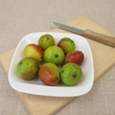 Cormier - Leaderplant