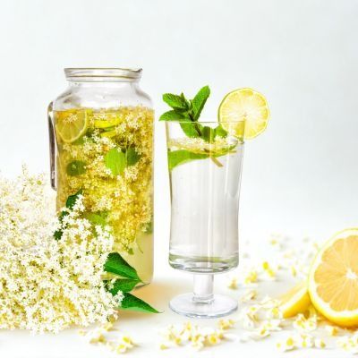 Sureau noir champêtre - Leaderplant