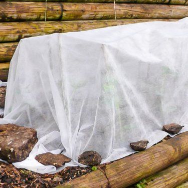 Voile d'hivernage & de forçage 2m² - Leaderplant
