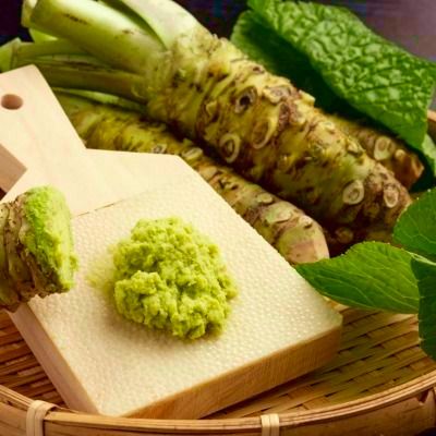 Wasabi - Leaderplant
