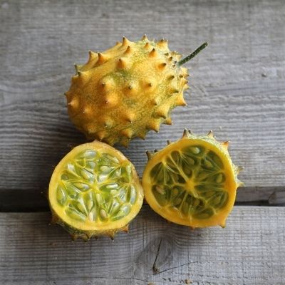 50 variétés de graines de légumes, de fruits et d'herbes pour le potager  plus de 2500 graines Facile à cultiver livraison gratuite -  France