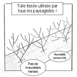 Comment bien Poser une Toile de Paillage Tissée? (sans agrafes) Pour un  Talus, haie, massif 