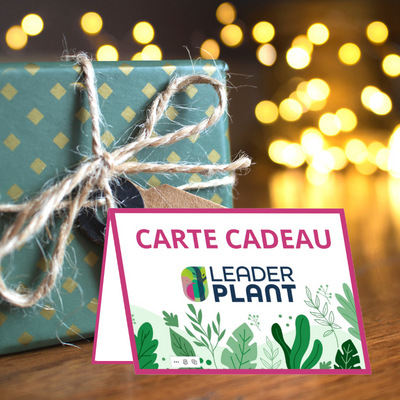 Gagner des chèques cadeaux  gratuits - Papawi bons plans