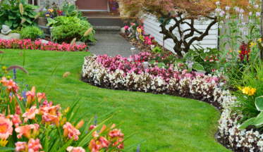 Que faire au jardin au mois de juillet ?