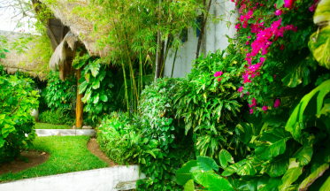 Aménager un jardin exotique : conseils et idées