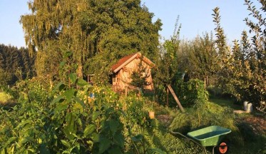 Comment débuter un jardin en permaculture ?