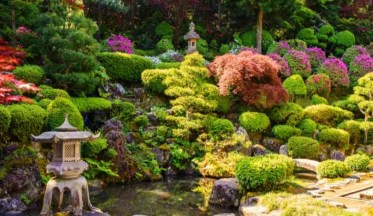 KIT Jardin Zen - Vente en ligne de plants de KIT Jardin Zen pas cher