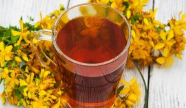 Le Millepertuis : Arbuste à fleurs jaunes et médicament