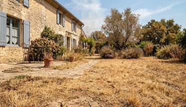 Pelouse jaune en été : pourquoi jaunit-elle et par quoi remplacer le gazon ?