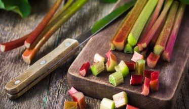 La Rhubarbe : Jardin et Gourmandise !