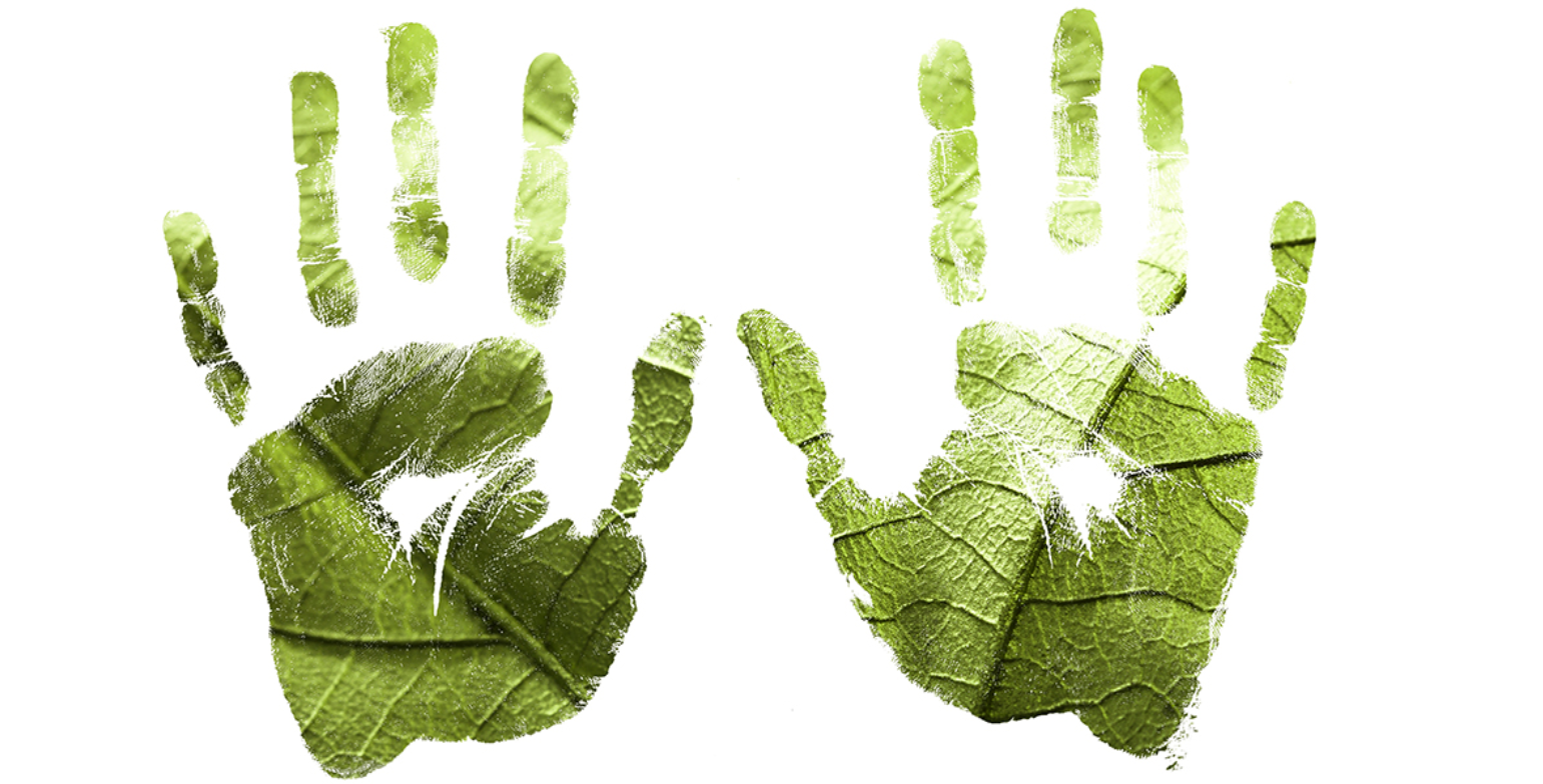 Comment avoir la main verte ?