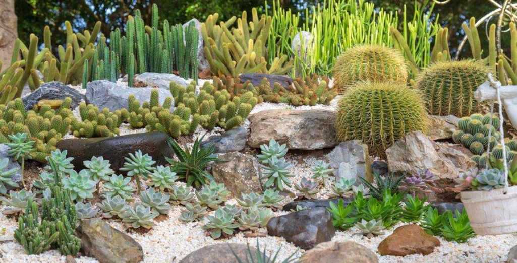 Comment planter dans un sol sableux ?