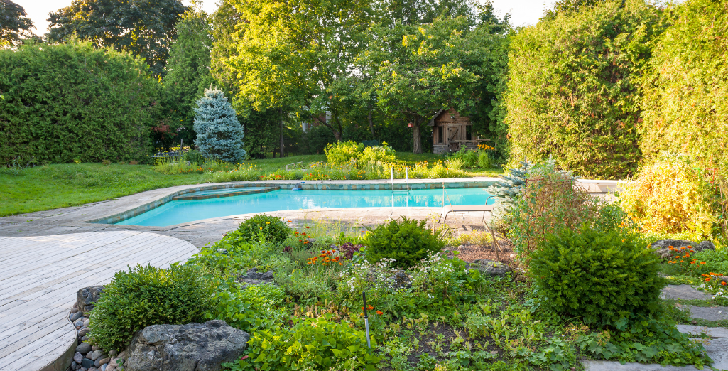 Les plantes pour aménager les abords d'une piscine