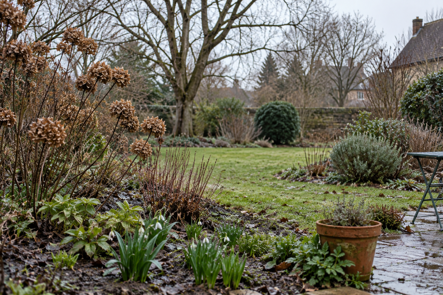 Que faire au jardin au mois de février ?