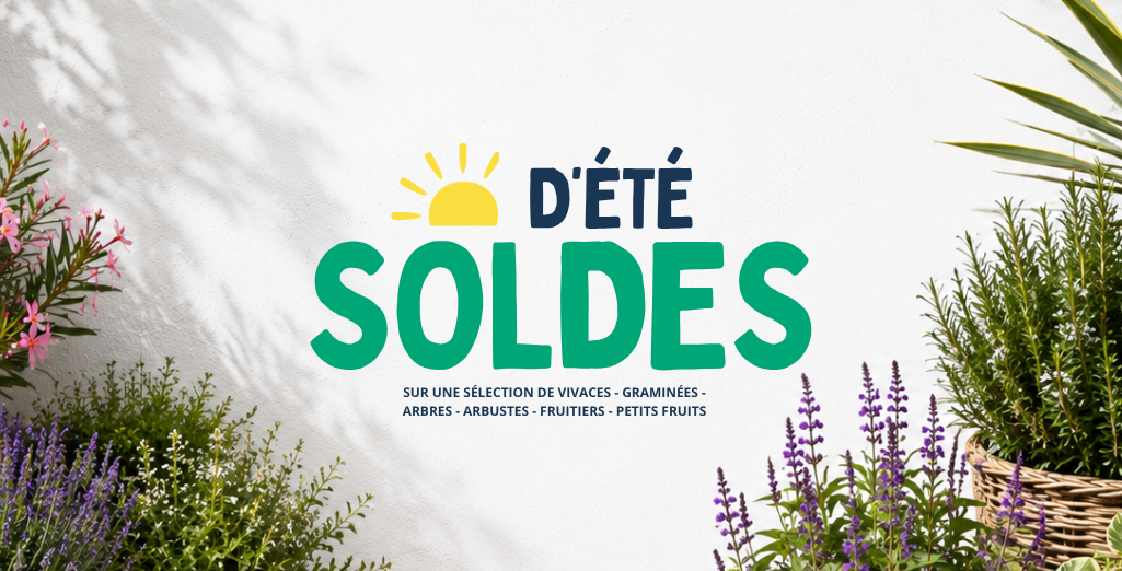 Soldes d’été Leaderplant