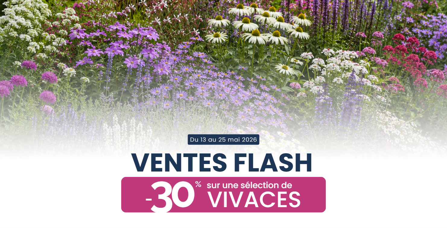 -30% sur une sélection de vivaces