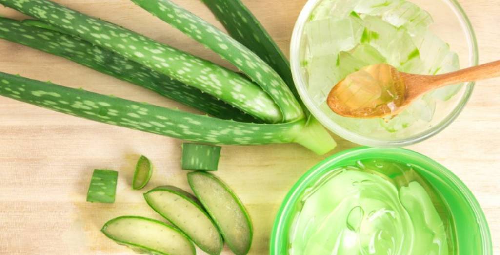 Aloe Vera, la plante miracle !