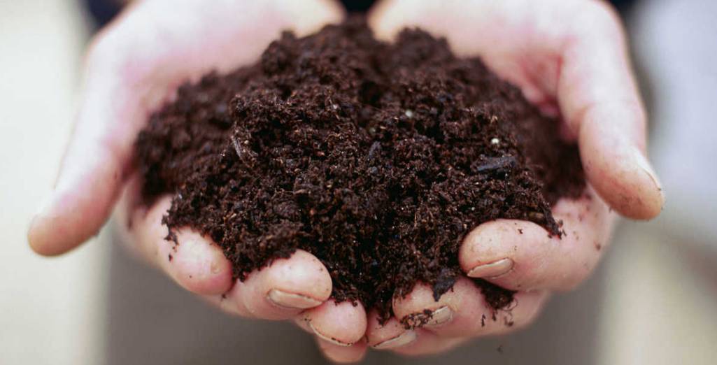 Comment améliorer mon sol ?