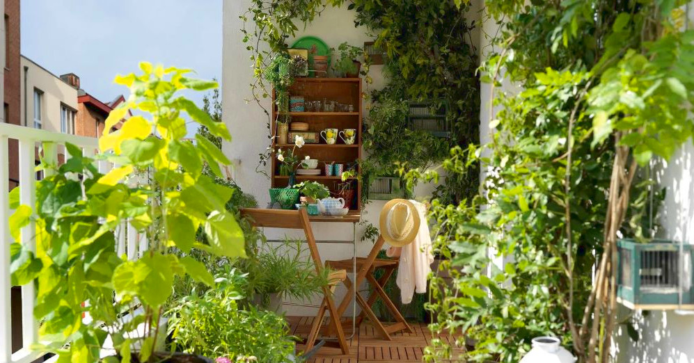 Bon cadeau – Jardin, espaces verts – Jardin&Décoration