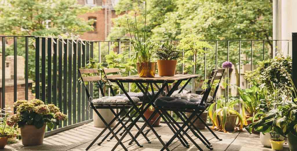 Je végétalise mon balcon à l'ombre à Paris