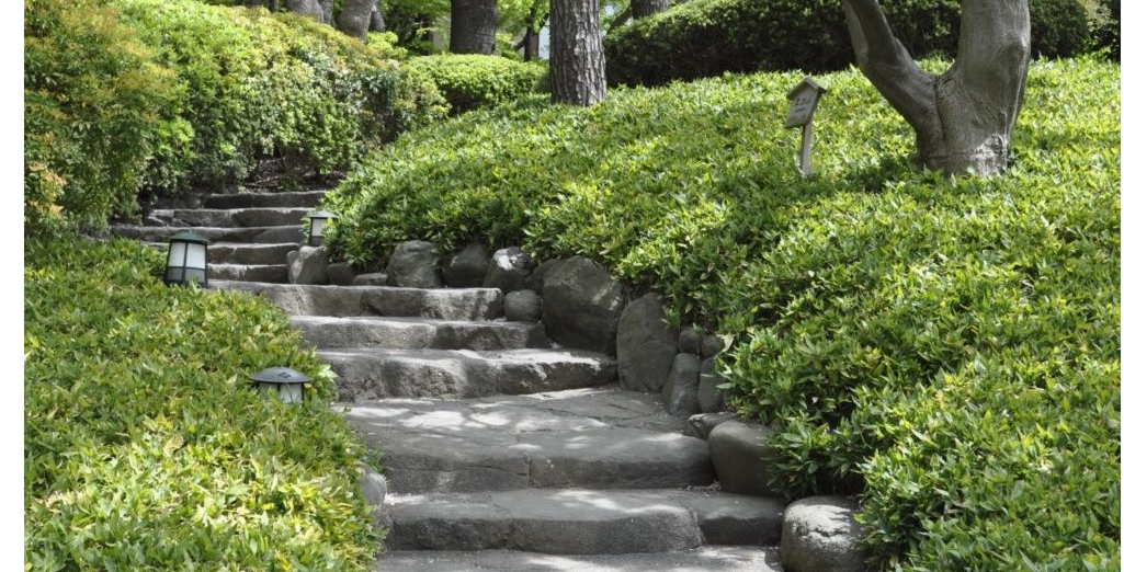 Les Bambous Couvre-sols, comment les utiliser ?