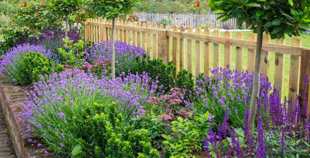 Comment créer un parterre de fleurs Leaderplant Apprendre à jardiner Leaderplant